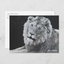 Leeuw, Afrikaanse leeuw, dier Briefkaart