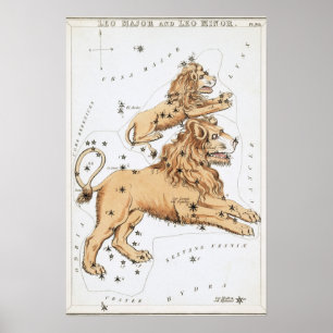 Leeuw Astrologische Tekening Poster
