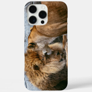Leeuw iPhone 16 Pro Max Hoesje