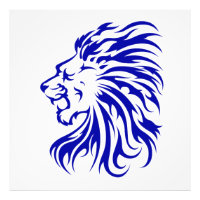 Leeuw de koning van het oerwoud, leeuwenliefhebber