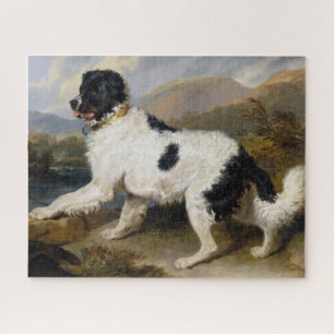 Leeuw: de Newfoundlanderse Hond Legpuzzel