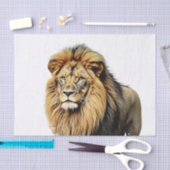 Leeuw Decoupage Tissuepapier (Craft)