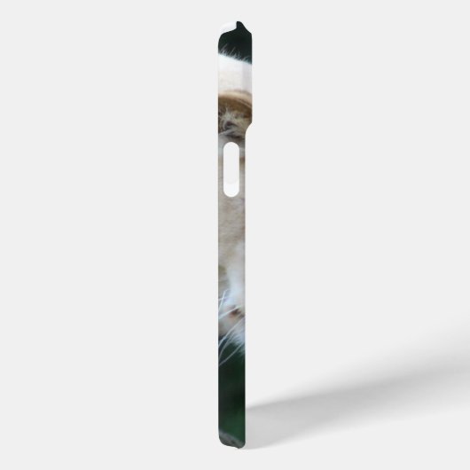 Leeuw en leeuwen Case-Mate iPhone case (Achterkant / Rechts)