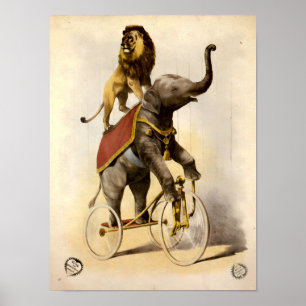 Leeuw en olifant uit het circus uit het Victoriaan Poster