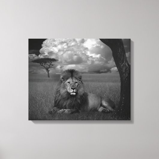 Leeuw in de gras canvas afdruk (Voorkant)