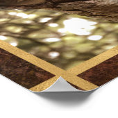 Leeuw in een boomfoto poster (Hoek)