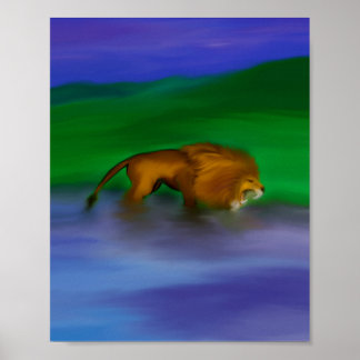 Leeuw in het water poster