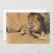 leeuw in rust | Wilhelm Kuhnert (Voorkant / Achterkant)