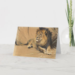 leeuw in rust   Wilhelm Kuhnert Kaart