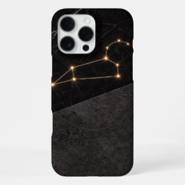 Leeuw  iPhone 16 pro max hoesje