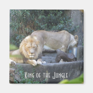 Leeuw, Koning van de Jungle Magneet