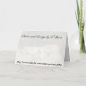 Leeuw - koning van de Oerwoud - Versoepeling Kaart (Achterkant)