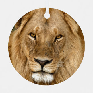 Leeuw met grote manen keramisch Ornament