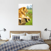 Leeuw op een rots canvas afdruk (Insitu (Slaapkamer))