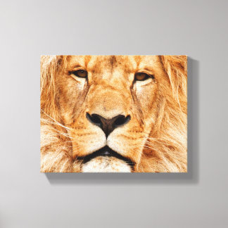 Leeuw op gestrekt canvas afdruk
