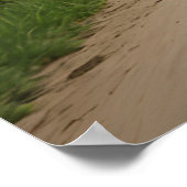 Leeuw op motor poster (Hoek)