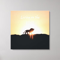 Leeuw op zonsondergang Leven op EDGE