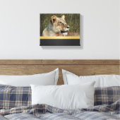 Leeuw panthera leo Okavango Delta Botswana Canvas Afdruk (Insitu (Slaapkamer))