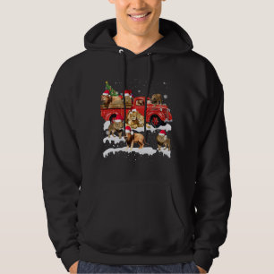Leeuw Rijden Rode Vrachtwagen Vrolijk Kerstmis X-m Hoodie