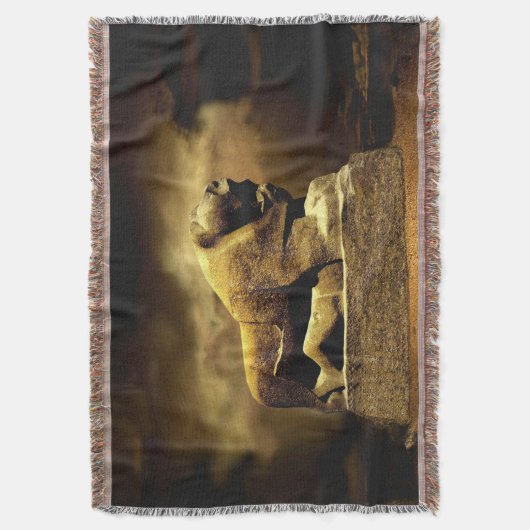 leeuw van babel deken (Voorkant Verticaal)