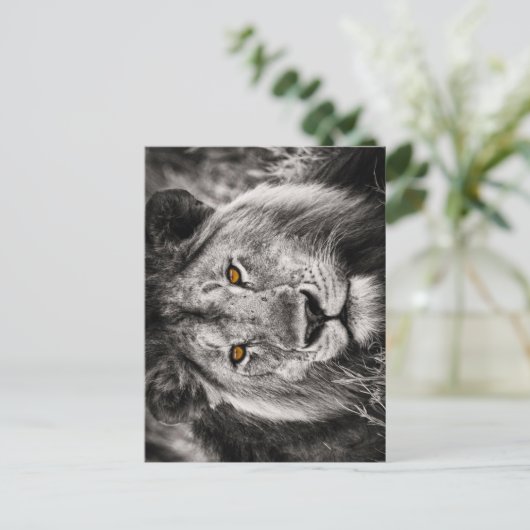 Leeuw van Juda - Leeuw - Rastafari - Briefkaart (Staand voorkant)