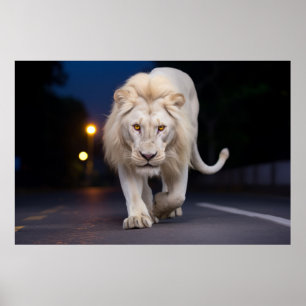 Leeuw Wildlife Dier Op Straat Buiten Poster
