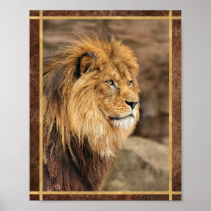 Leeuw Zijwaarts Fotograaf Poster