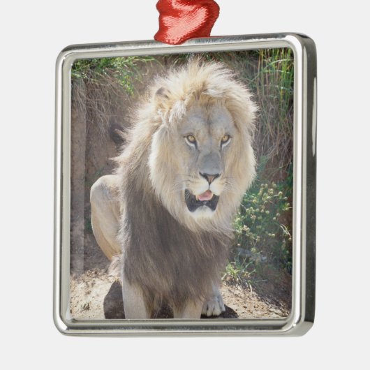 Leeuw zittend op de rotsen metalen ornament (Links)