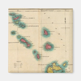 Leeuward Islands Magneet