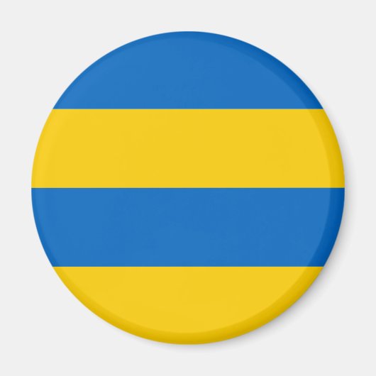 Leeuwarden Magneet (Voorkant)