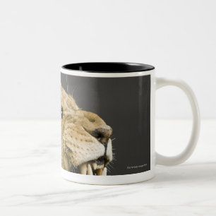 Leeuwen 2 tweekleurige koffiemok