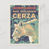 Leeuwen, Cerza Zoological Park in Normandië Frankr Briefkaart (Voorkant)
