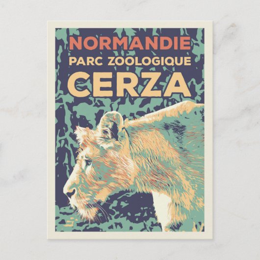 Leeuwen, Cerza Zoological Park in Normandië Frankr Briefkaart (Voorkant)