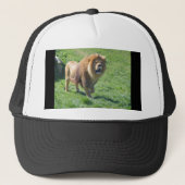Leeuwen die op gras lopen trucker pet (Voorkant)