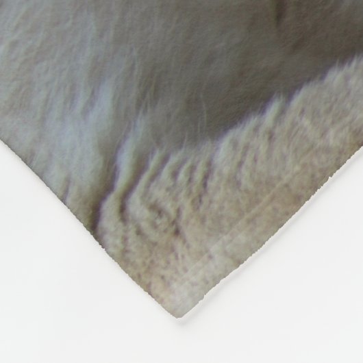 Leeuwen en leeuwen fleece deken (Hoek)