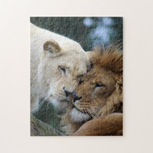 Leeuwen en leeuwen legpuzzel