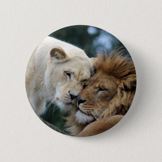 Leeuwen en leeuwen ronde button 5,7 cm (Voorkant)