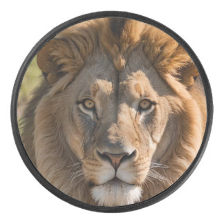 Leeuwen Hockey Puck