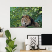 Leeuwen in een bos poster (Thuiskantoor)