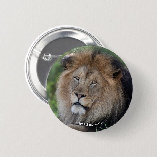 Leeuwen in een bos ronde button 5,7 cm (Voorkant /achterkant)