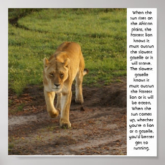 Leeuwen in het Inspirerend Poster Masai Mara