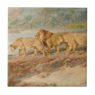 Leeuwen op de oever van een Afrikaanse rivier Tegeltje