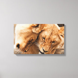 Leeuwen paar canvas print