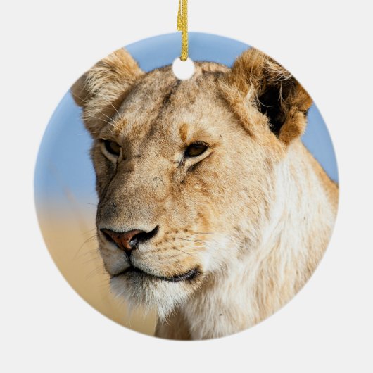 Leeuwen tegen blauwe hemel keramisch ornament (Achterkant)