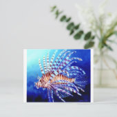 leeuwen van Borneo Briefkaart (Staand voorkant)