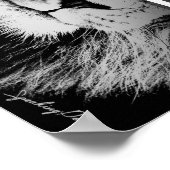 Leeuwen verliezen geen slaap over de mening van sc poster (Hoek)