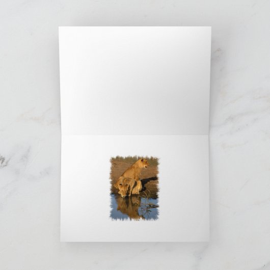 Leeuwen & welpen feestdagen kaart (Binnen)