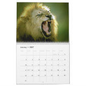 Leeuwen - Wild Animals & Big Cats Wall Kalender (Jan 2027)