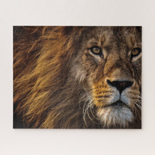 Leeuwengezicht Close-up Foto Legpuzzel