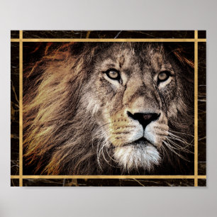 Leeuwengezicht Foto Afbeelding Print Poster